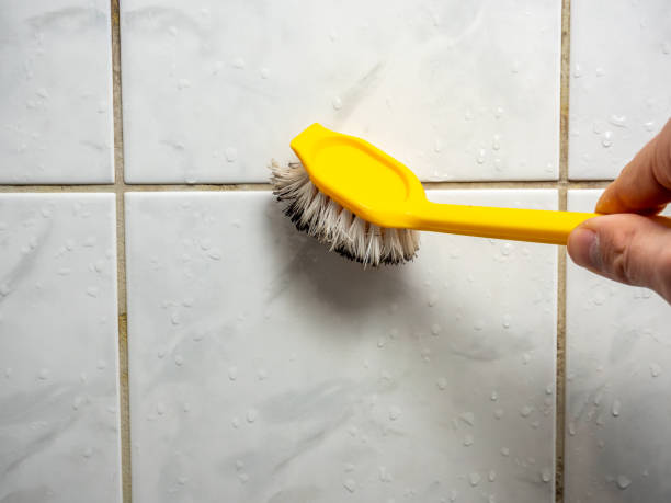 Office Mold Removal Services in Long Branch, VA