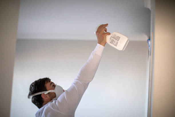 Best Certified Mold Removal  in Long Branch, VA