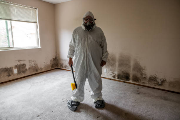 Best Mold Testing  in Long Branch, VA